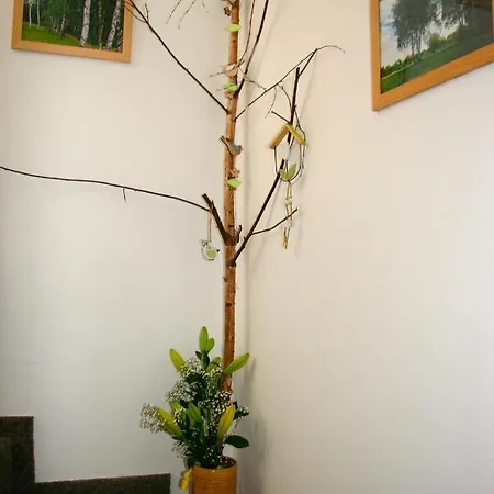 Winter Appartement