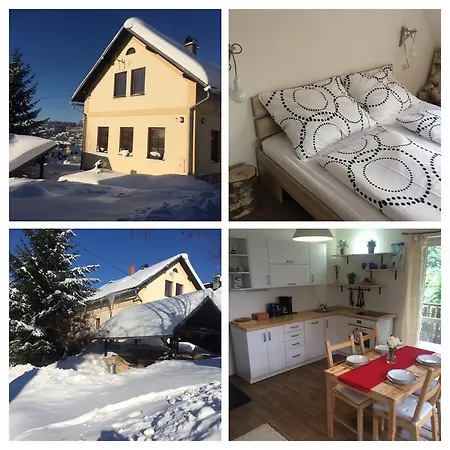 Winter Apartament *